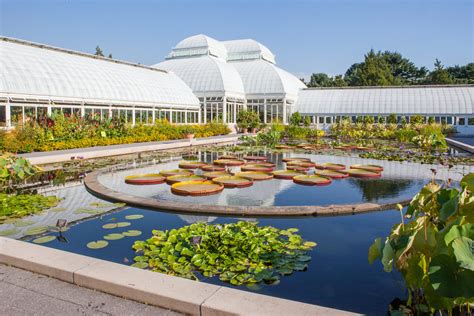 Botanical gardens bronx ny - 